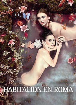 罗马的房子HabitaciónenRomaBDrip1080p中英双语亿